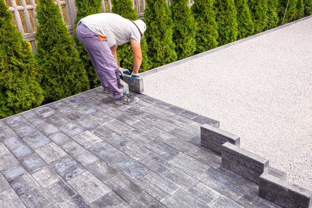 Best Driveway Repair Near Me  in Shafer, MN