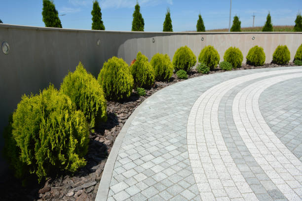 Best Permeable Paver Driveway  in Shafer, MN