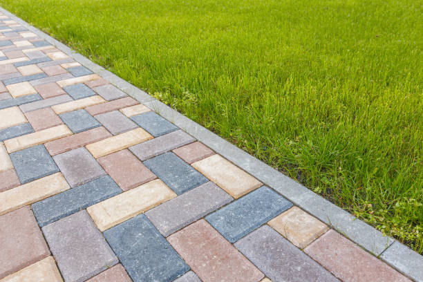 Best Interlocking Driveway Pavers  in Shafer, MN